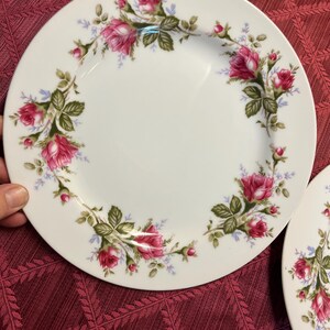 Puede incluir: Platos de cer&aacute;mica blanca con un dise&ntilde;o floral de rosas. Los platos presentan un borde de rosas rosas, hojas verdes y peque&ntilde;os detalles azules. Los platos est&aacute;n sobre un fondo rojo estampado.
