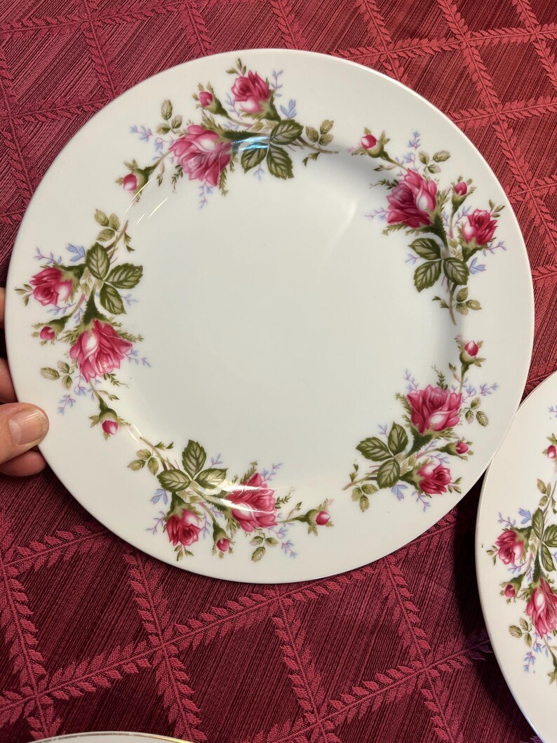 Puede incluir: Platos de cer&aacute;mica blanca con un dise&ntilde;o floral de rosas. Los platos presentan un borde de rosas rosas, hojas verdes y peque&ntilde;os detalles azules. Los platos est&aacute;n sobre un fondo rojo estampado.