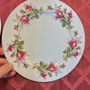 Puede incluir: Plato de cer&aacute;mica blanca con un dise&ntilde;o floral de rosas. El plato presenta un c&iacute;rculo de rosas rosas, hojas verdes y peque&ntilde;os detalles azules alrededor del borde. Las rosas est&aacute;n en plena floraci&oacute;n y el plato tiene un aspecto cl&aacute;sico y elegante.