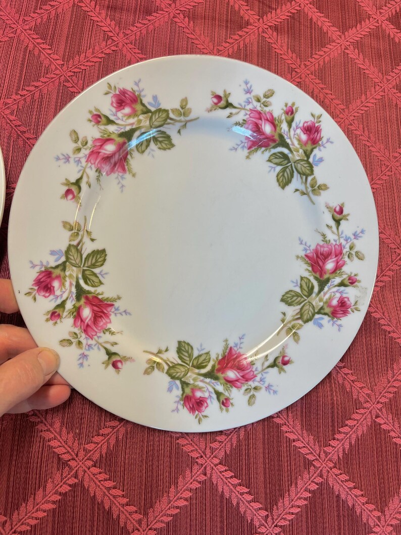 Puede incluir: Plato de cer&aacute;mica blanca con un dise&ntilde;o floral de rosas. El plato presenta un c&iacute;rculo de rosas rosas, hojas verdes y peque&ntilde;os detalles azules alrededor del borde. Las rosas est&aacute;n en plena floraci&oacute;n y el plato tiene un aspecto cl&aacute;sico y elegante.