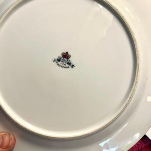Puede incluir: Plato de porcelana blanca con un borde ligeramente elevado. La parte inferior presenta un emblema decorativo con el texto "SAJI MADE IN JAPAN FANCYCHINA" en negro y rojo. El plato est&aacute; limpio y parece sin usar.