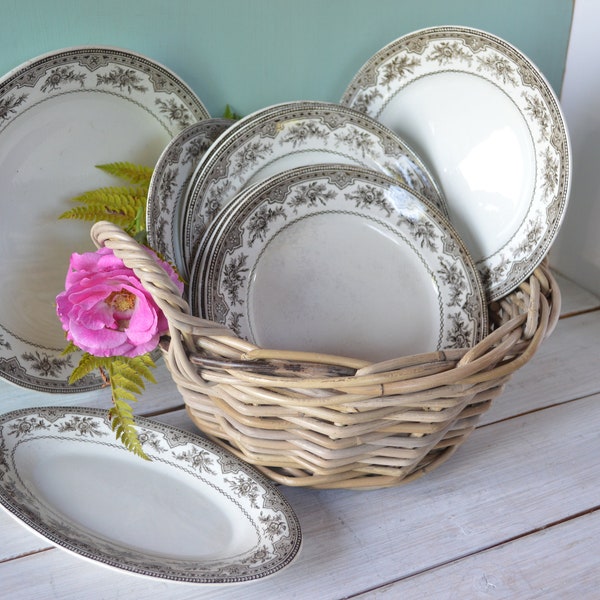 Vintage French Dinner Plates, Platter or Side Dish - Ironstone -  Onnaing Faience Plates - Brown and White 'Acacia' Transferware Motif