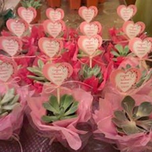 Succulent wedding favors 502''Succulents. Cheapest On The Market. Make perfect Wedding and Shower Favors. Event and Party Favors. image 4