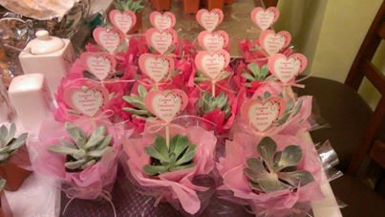 Succulent wedding favors 502''Succulents. Cheapest On The Market. Make perfect Wedding and Shower Favors. Event and Party Favors. image 4