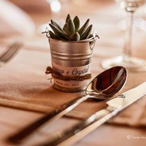 Succulent wedding favors 502''Succulents. Cheapest On The Market. Make perfect Wedding and Shower Favors. Event and Party Favors. image 9