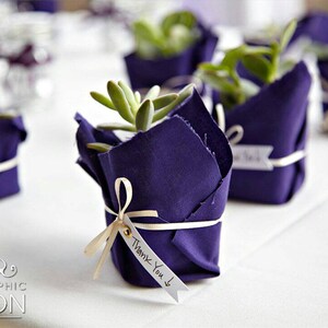 Succulent wedding favors 502''Succulents. Cheapest On The Market. Make perfect Wedding and Shower Favors. Event and Party Favors. image 6