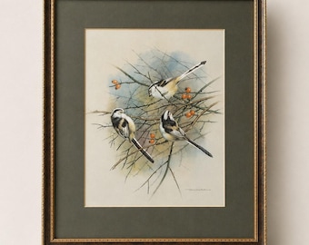 Basil Ede Long Tailed Tits Bird Print Framed Wildlife Art Ornithology