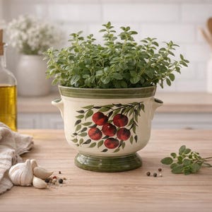 Maceta de cerámica Siltone Staffordshire pintada a mano con diseño de frutas, 14 cm