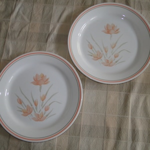 Set of 2 Corning Corelle PEACH FLORAL Pattern 10-1/4" Dinner Plates