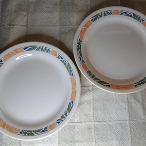 Puede incluir: Dos platos de cena de cerámica blanca con un diseño floral verde, azul y naranja.