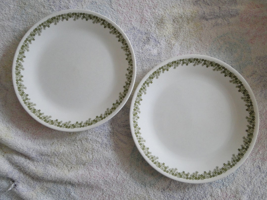 Set of 2 Corning Corelle SPRING BLOSSOM GREEN Pattern 10-1/4