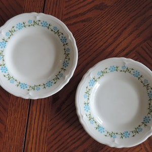 May include: Two white ceramic plates with scalloped edges and a floral design. The plates feature a border of small blue flowers and green leaves. The plates are set on a wooden surface.