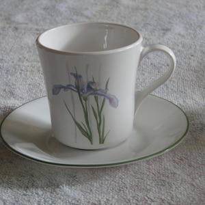 Puede incluir: Una taza de té y un platillo de cerámica blanca con un borde verde. La taza tiene un diseño floral con un iris morado con hojas verdes.