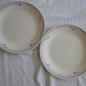Set van 2 Corning Corelle COUNTRY VIOLETS-patroon 25-1/4&quot; dinerborden