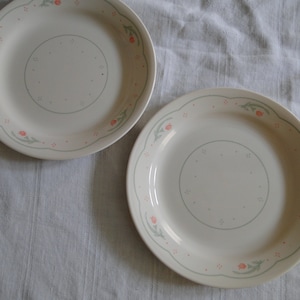 Könnte beinhalten: Zwei weiße Keramikteller mit einem grünen und rosa Blumendesign. Die Teller haben einen gewellten Rand und sind perfekt zum Servieren einer Mahlzeit.