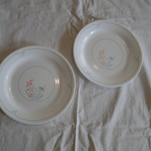 Puede incluir: Dos platos de cena de cerámica blanca con un diseño floral en tonos de rosa, azul y verde. Los platos tienen un diseño simple y elegante.