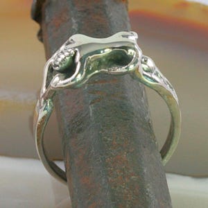Seksring Zilver