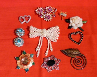 Miscellaneous Lady's Brooches/Pins (11)