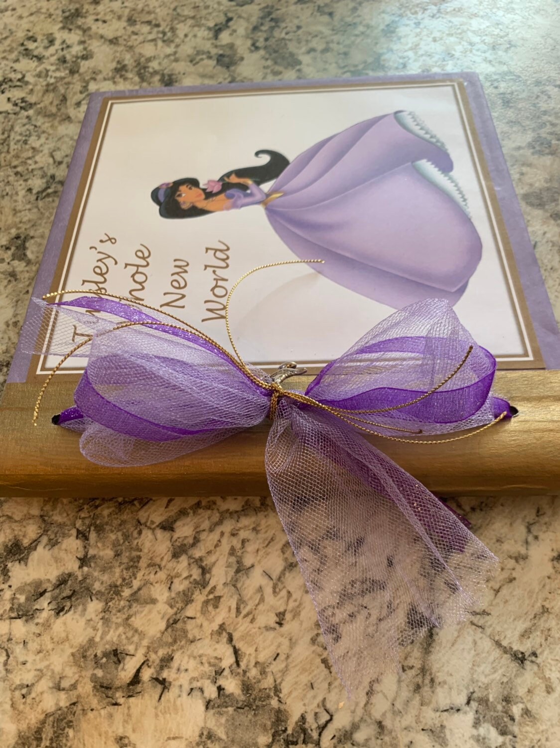 Princess Jasmine Autograph Book Purple Dress Aladdin Disney Etsy