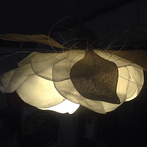 Soffitto piatto chiaro Fiore bianco in carta facile da pulire