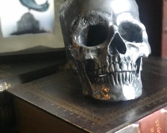 Skull - true life cast.
