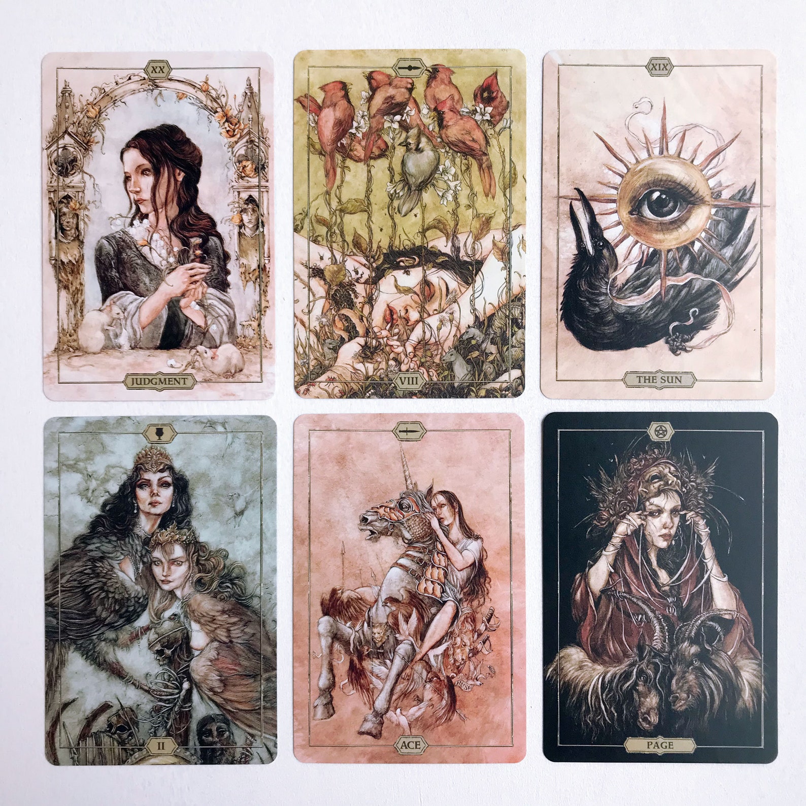 Hush Tarot Deck 78Cards 68Page Guidebook Divination Etsy