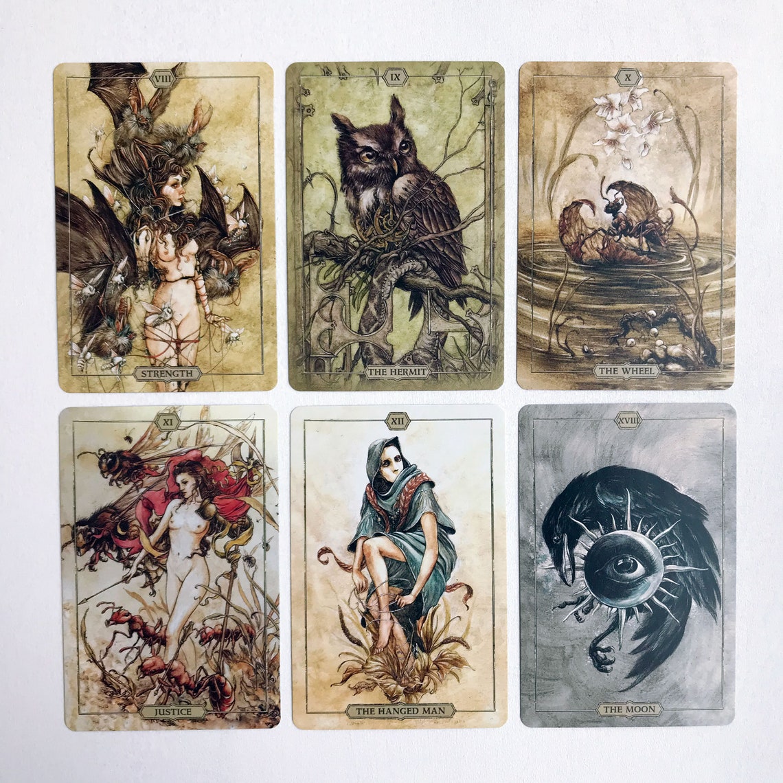 Hush Tarot Deck 78Cards 68Page Guidebook Divination Etsy