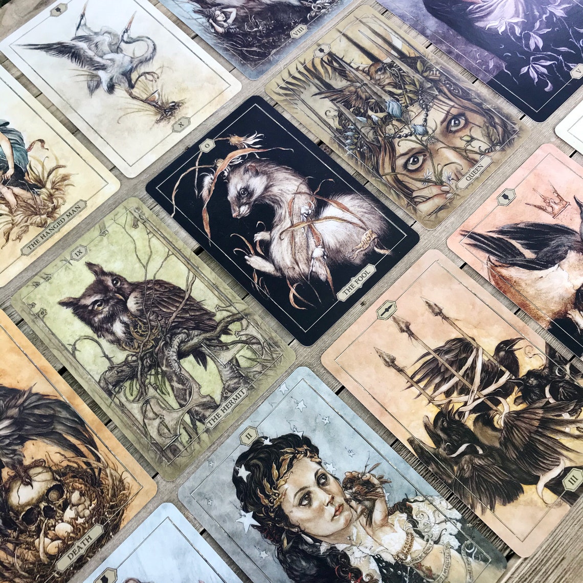 Hush Tarot Deck 78Cards 68Page Guidebook Divination Etsy