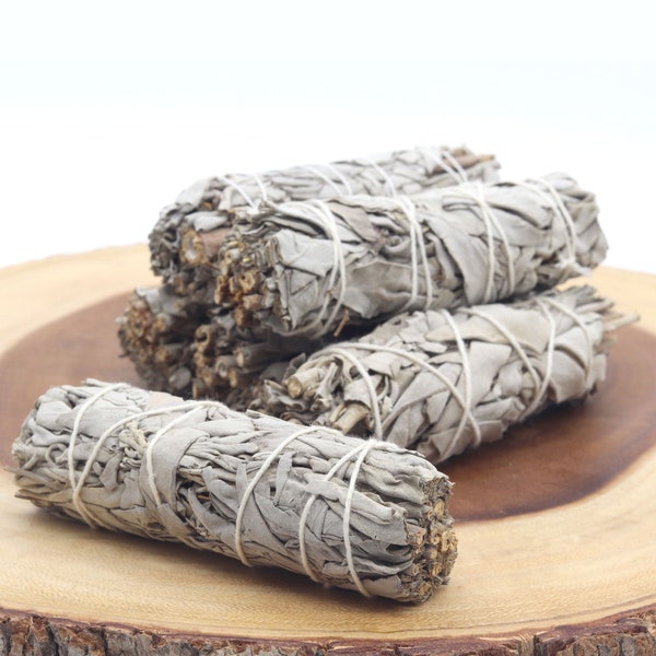 White Sage Smudge Stick, Baby