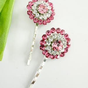 May include: Two silver hair clips with pink and white rhinestone flower accents.
