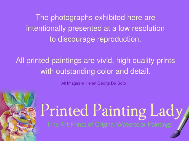 May include: A watercolor painting of a pink rose with green leaves. The painting is titled "Printed Painting Lady" and says "Fine Art Prints of Original Watercolor Paintings".