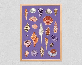 Art Print Sea Shells 21x30 - Collection Of Illustrated Shells - Poster On Tintoretto Gesso Paper