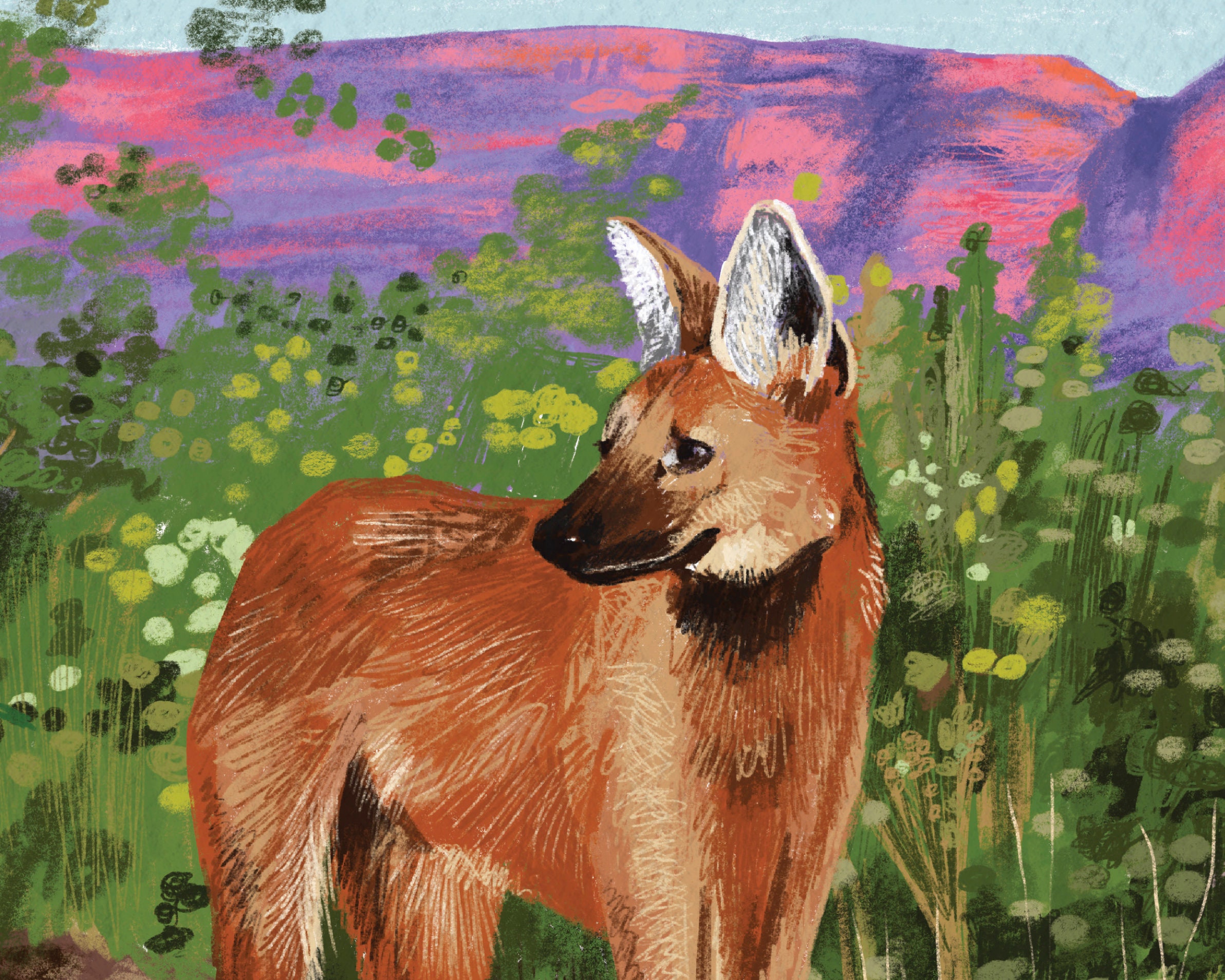 art-print-maned-wolf-21x30-beautiful-elegant-maned-wolf-etsy