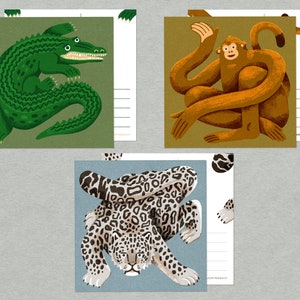 Quadratische Tierpostkarten – Illustriertes Krokodil, Schneeleopard und Affe – Einzelkarte oder Kartenset