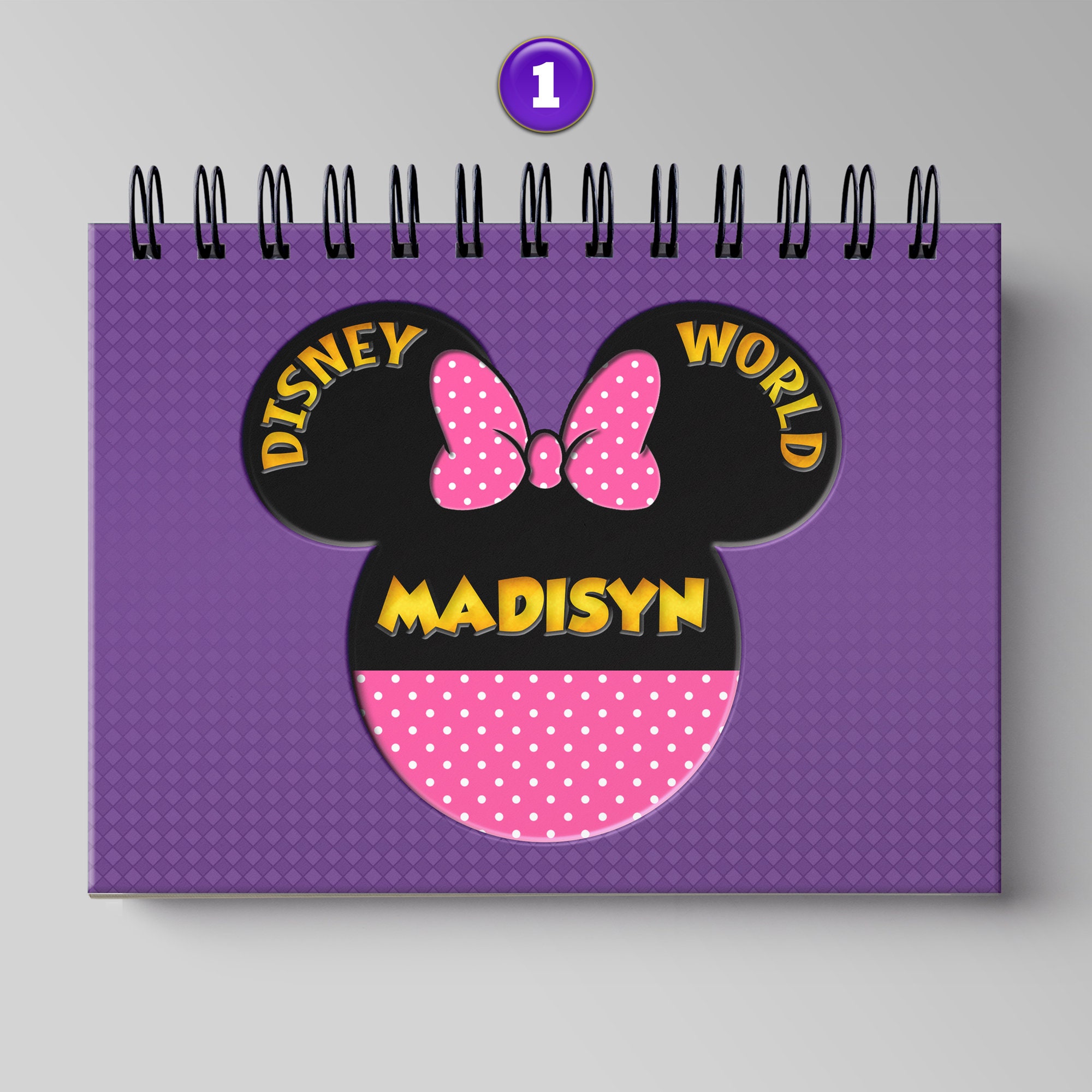 Disneyland Flip Book - Etsy