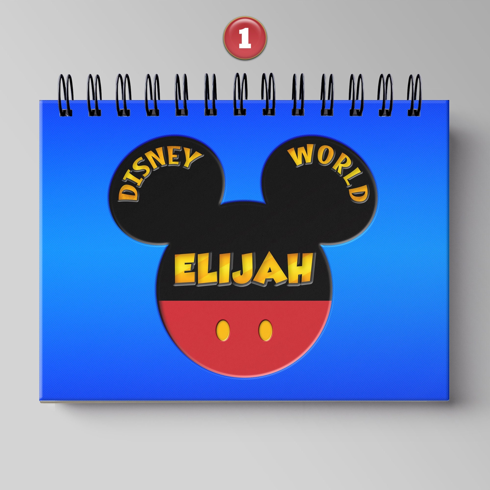 Disneyland Flip Book - Etsy