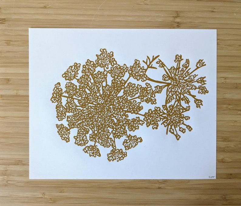 Queen Anne's Lace original handmade 8x10 unframed linocut print, yellow ochre ink on cream cardstock. Flower art, 8x10 wall art, 8x10 print image 2