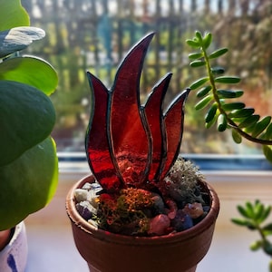 Stained Glass Succulent Plant in a Terracotta Pot with Semi-Precious Stones & Moss. Other Colours Available to Order.