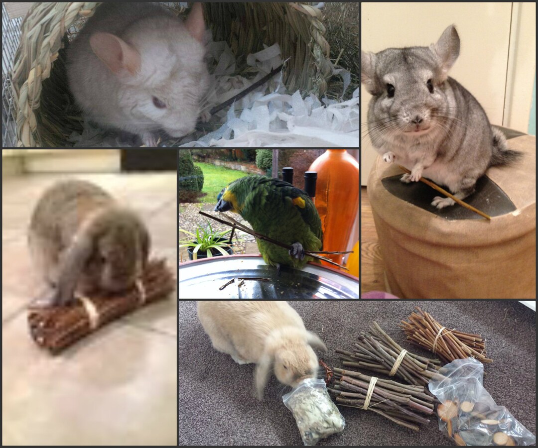 Natural 100 Organic Wood Pet Treats/ Toys Wood Chew Sticks.rabbits