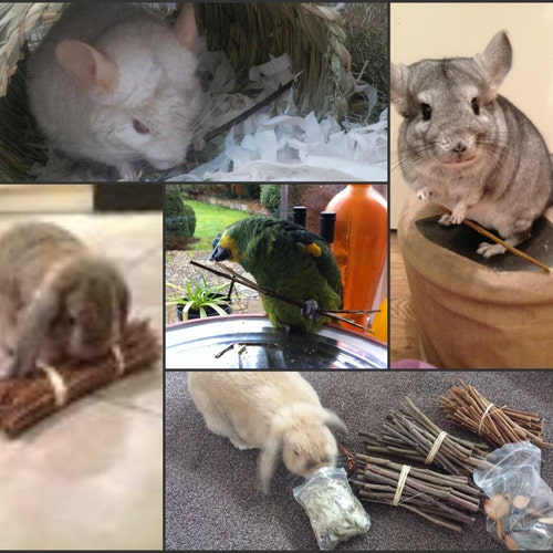 Paracord Water Bottle Holders With Charms for Small Animals. Etsy UK