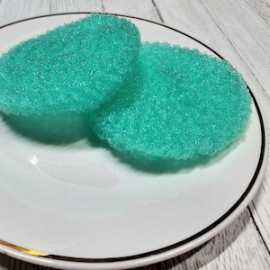 May include: Two round, teal-colored scrub pads rest on a white plate with a black rim. The pads have a textured, porous surface, suggesting they are designed for cleaning. The plate is set against a light-colored wooden background.