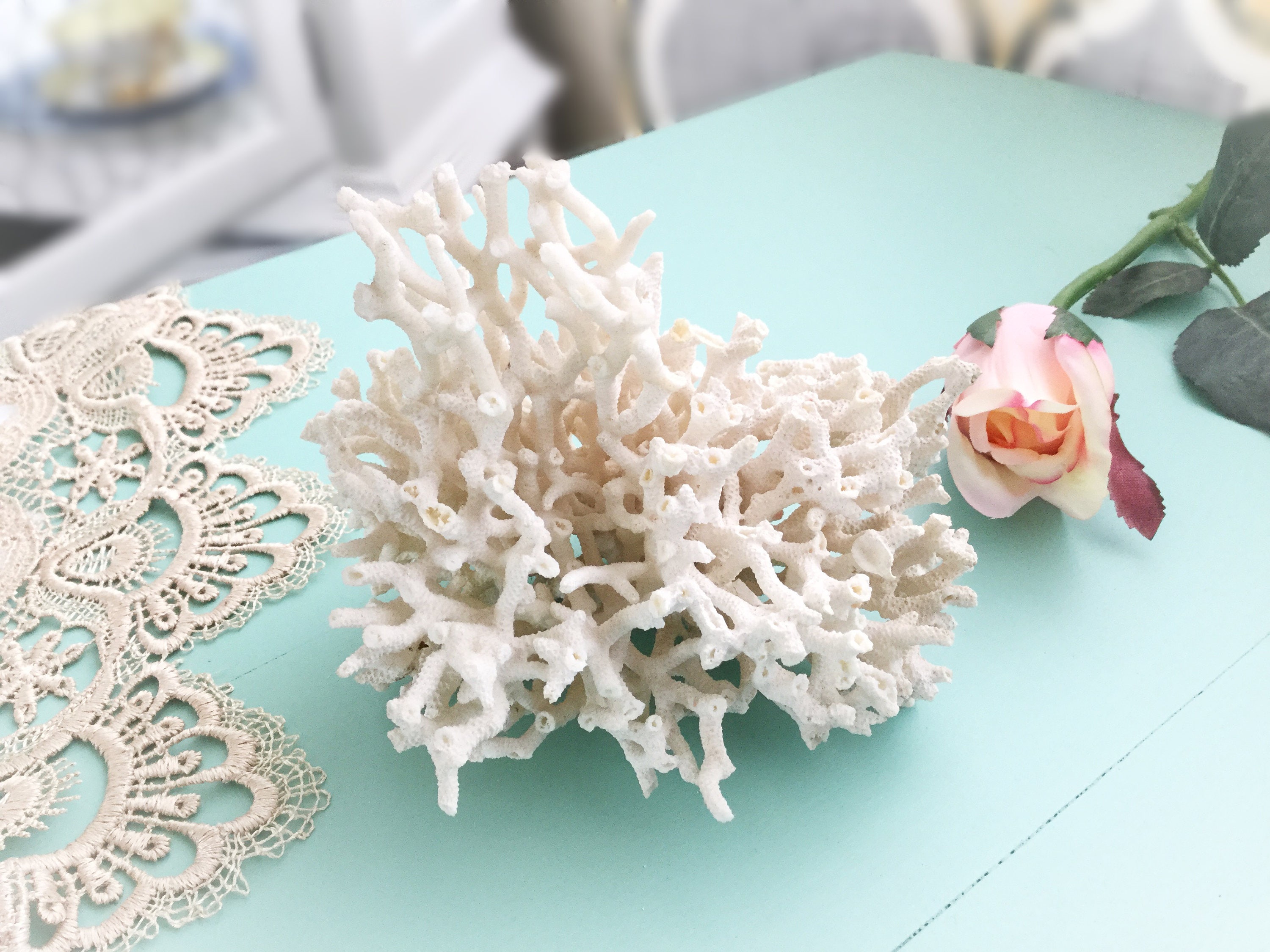 Natural Sea Coral, Dried Real Coral, Sea Coral Stone, Real Coral Reef, Beach Wedding, Beach