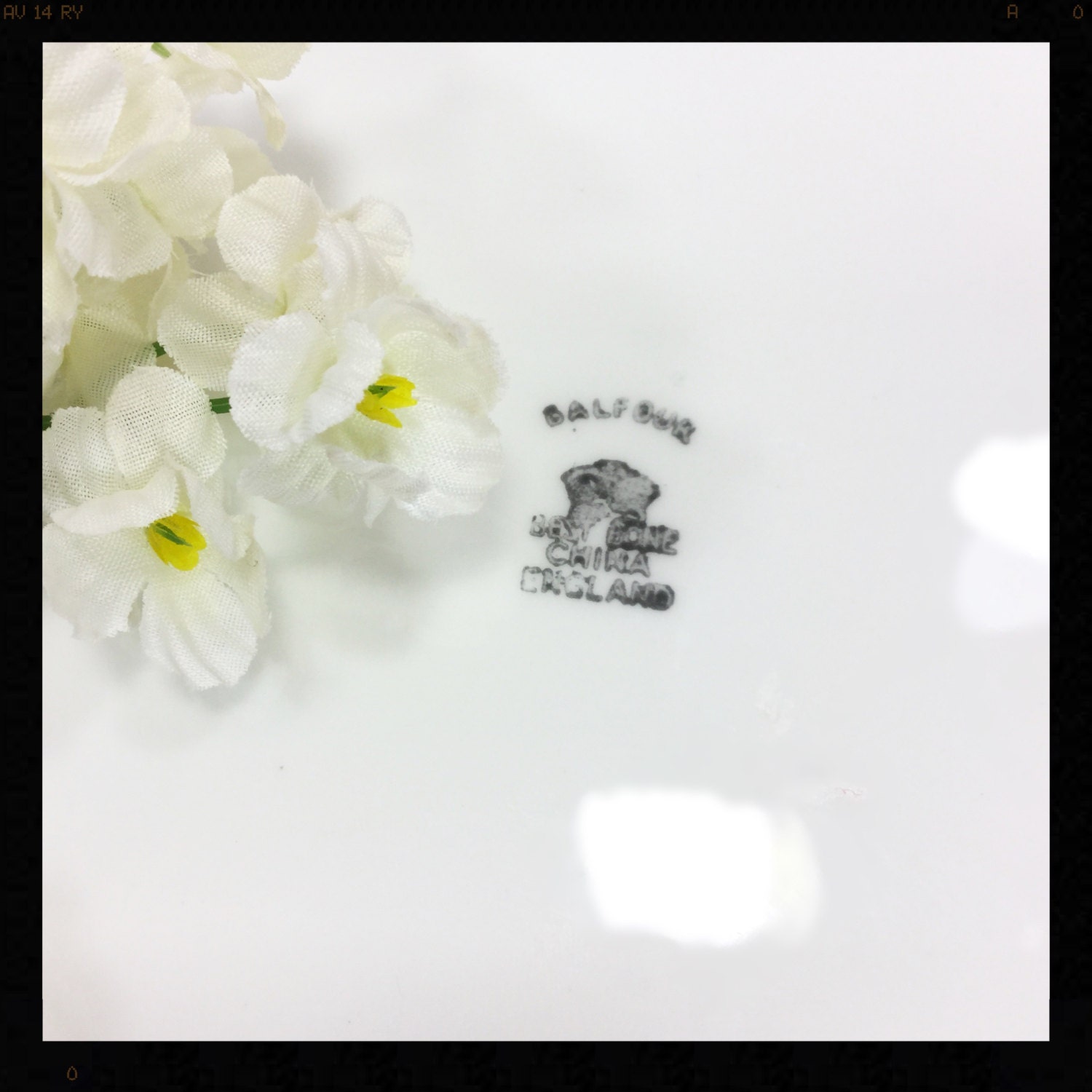 Balfour China Foral English Cake Plate, Fine Bone China Serving Plate