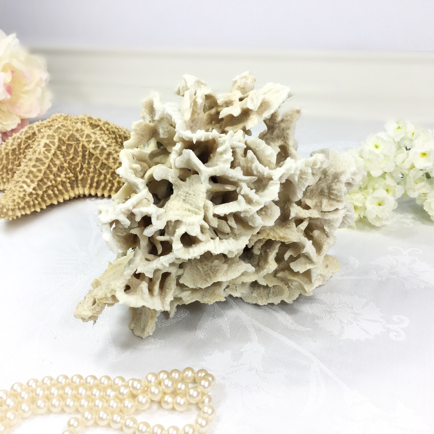 Large Natural Sea Coral, Dried Real Coral, Sea Coral Stone, Real Reef, Beach Wedding, Beach