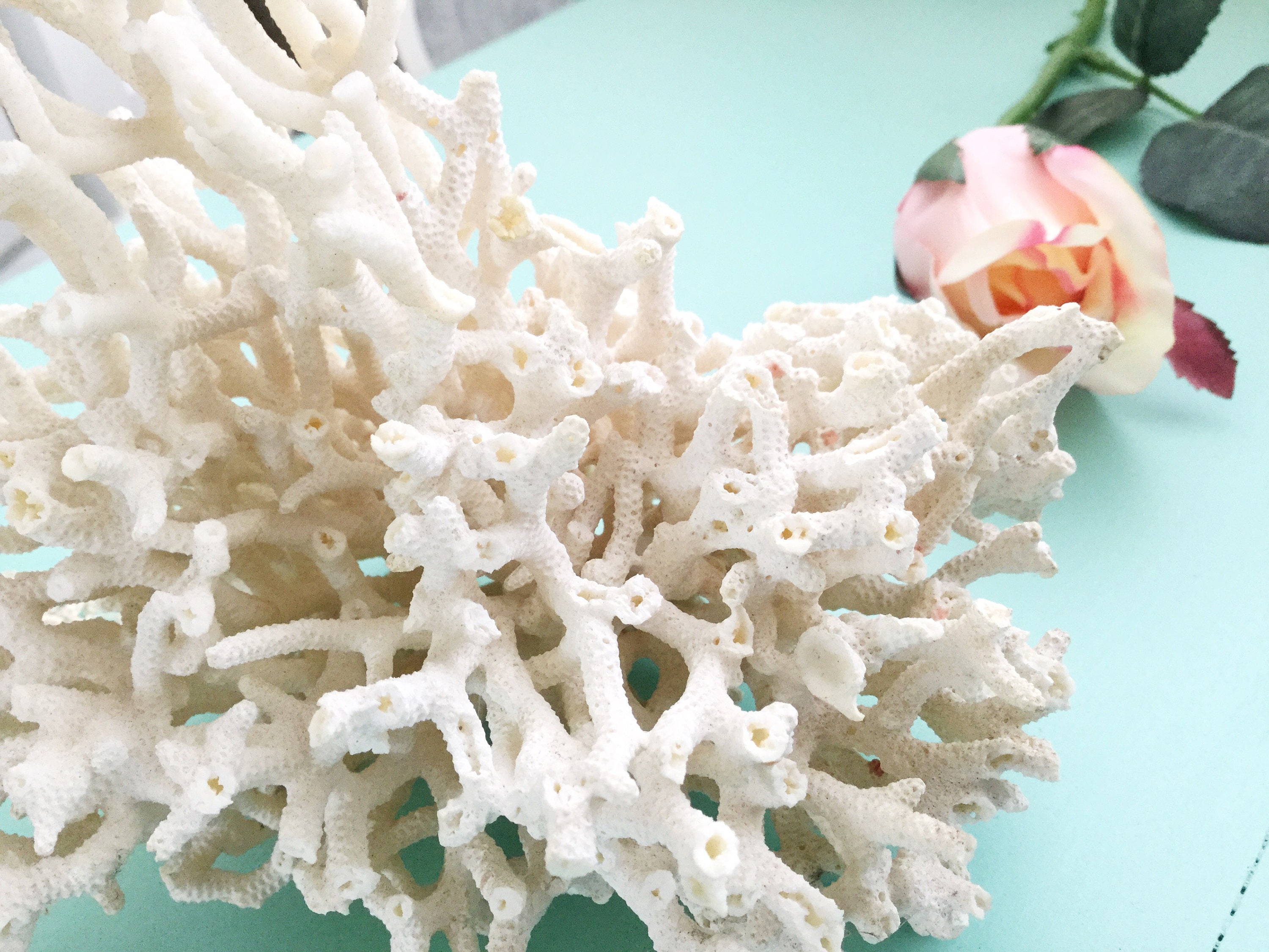 Natural Sea Coral, Dried Real Coral, Sea Coral Stone, Real Coral Reef, Beach Wedding, Beach