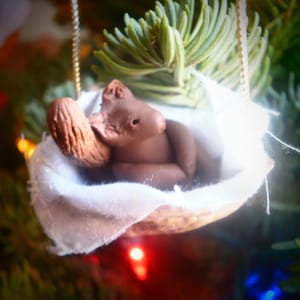 Walnut Creatures - Squirrel. Adorable Woodland Creature Ornament: Polymer Clay, Walnut Shell, and Magic! Perfect Gift Idea, Treat for you