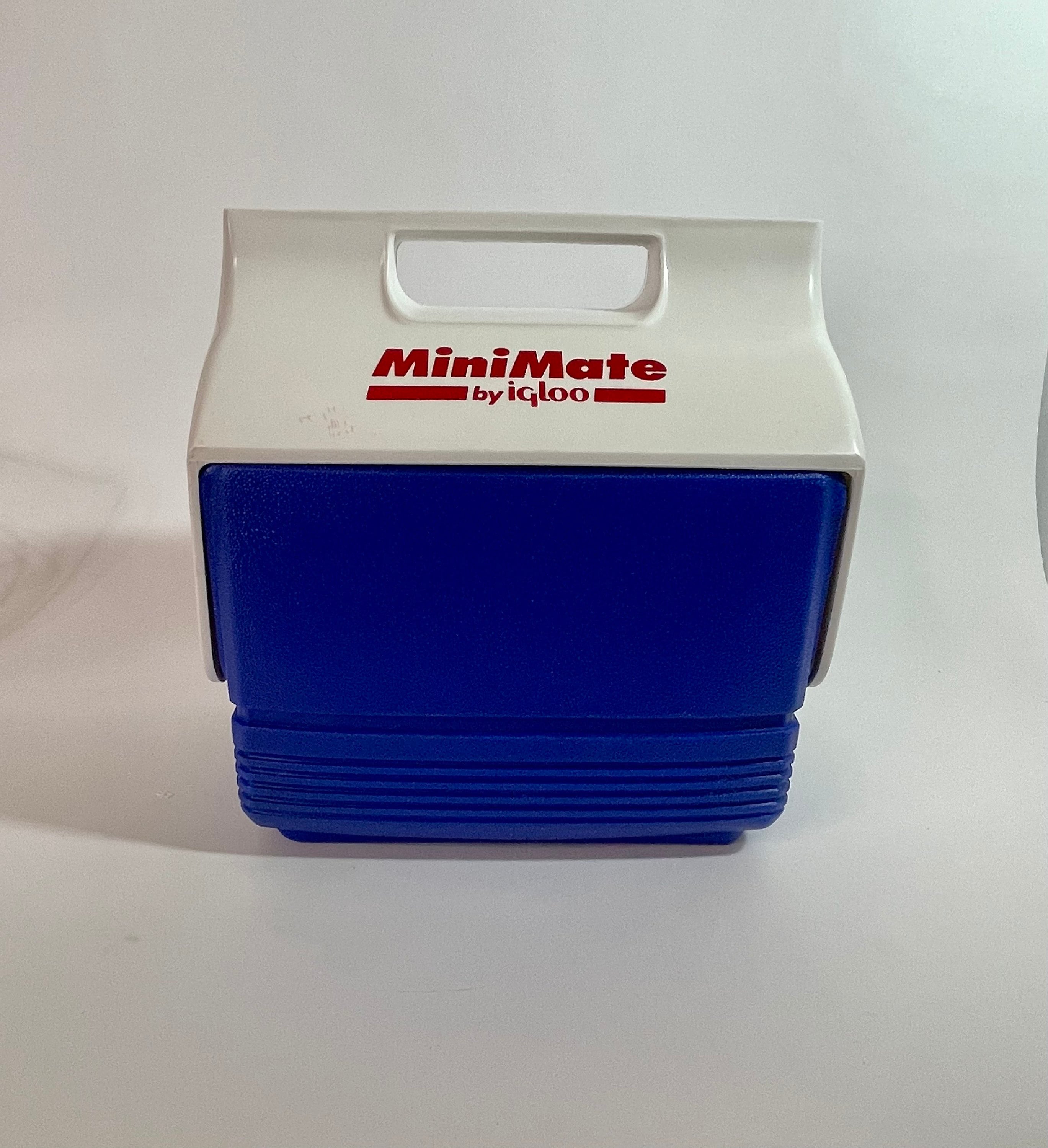 Vintage 1991 MiniMate By Igloo Mini Cooler Lunch Box Made in USA Purple/Pink