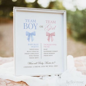Team Boy oder Girl Signature Cocktails Schild Vorlage, Gender Reveal Getränkekarte, Pink Blau Bow Babyparty, Vorlage Download TEMPLETT