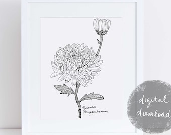 Konsttryck med krysantemum i november, födelseblommapresent (digital nedladdning)