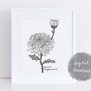 Printable November Chrysanthemum Art Print / Birth Flower Art / Chrysanthemum Art Print / November Birthday Gift / Botanical Wall Art